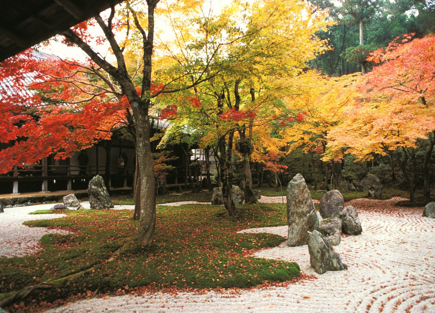 秋の光明禅寺です